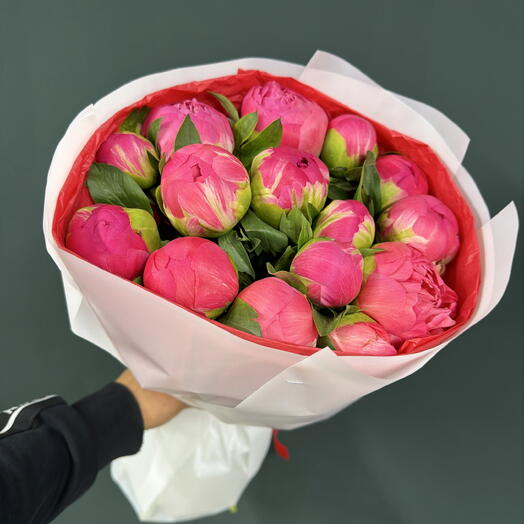 Пионы коралловые 15)