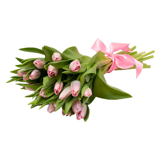Ramo de tulipanes Rosados