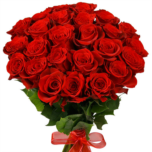 El ramo de 25 de rojas rosas ecuatorianas
