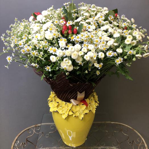 Bouquet of daisies