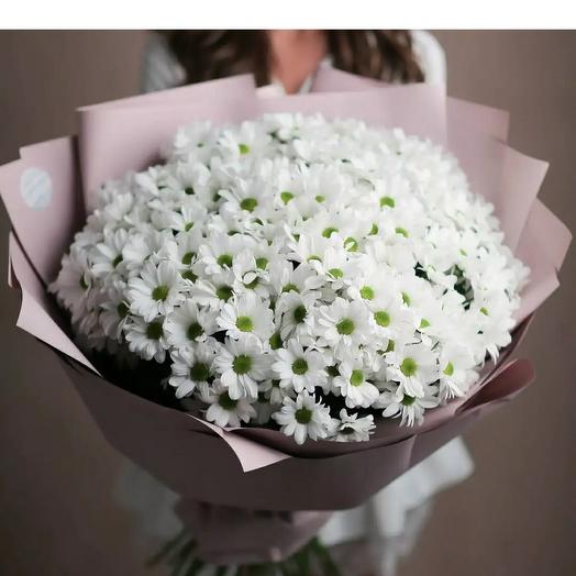 Mononoke of white chrysanthemums
