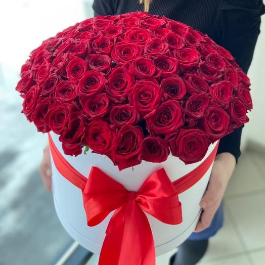 Rosa roja en Caja XXL🌹