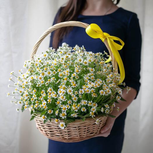 "поле в руках"