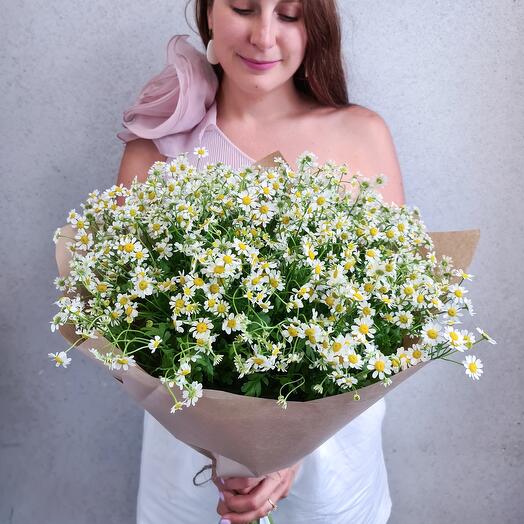 Ромашки 25 шт
