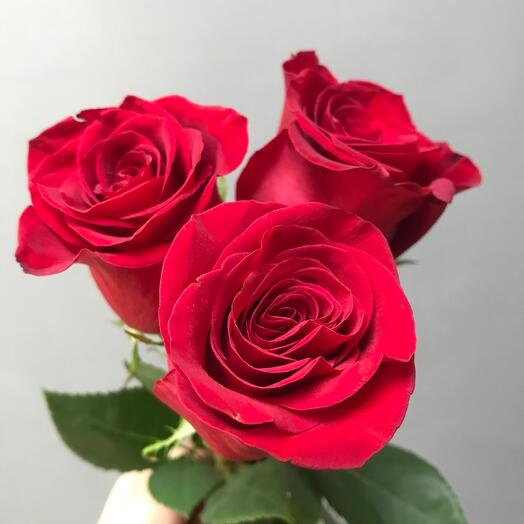 3 rosas rojas