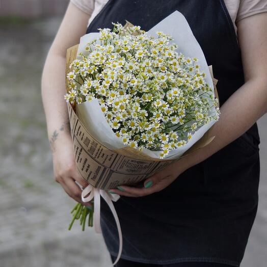 Bouquet of daisies