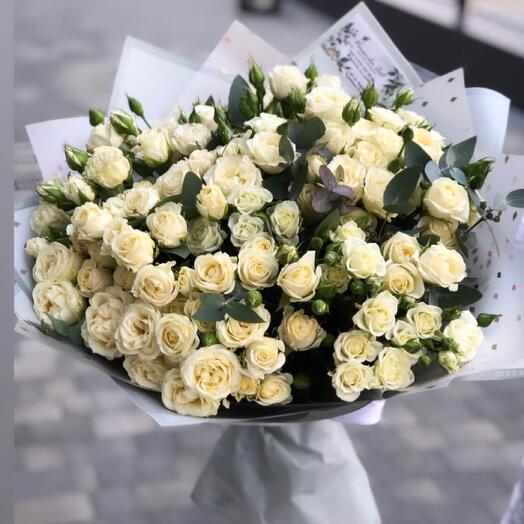 29 bush roses