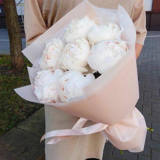 Пионы белоснежные