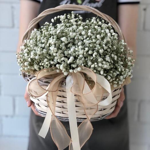 "Cesta de gypsophila"