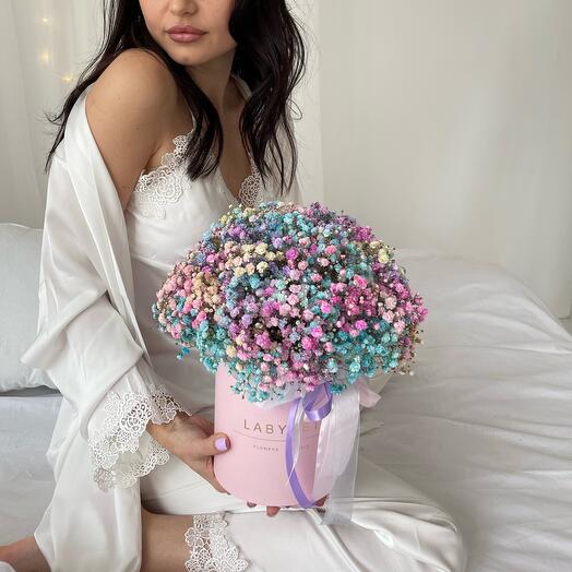Flowers in a box Rainbow Gypsafila