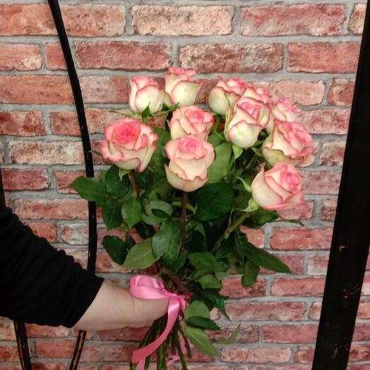 Rose Gamila 11