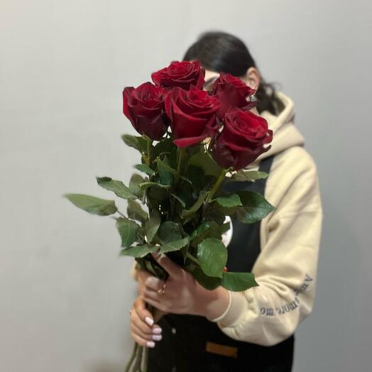 Красные розы 5 шт