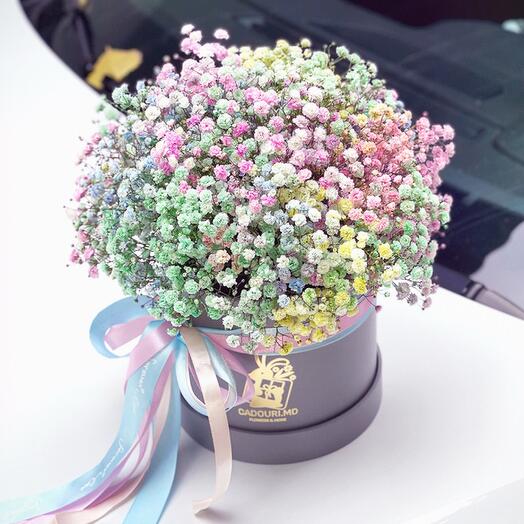Scatola con Gypsophila multicolore