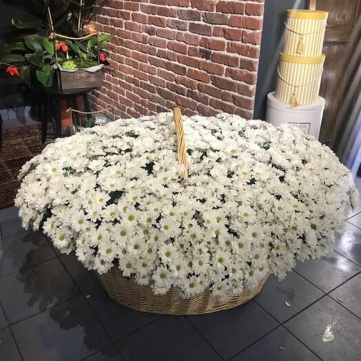 Большая корзинка из ромашковых хризантем