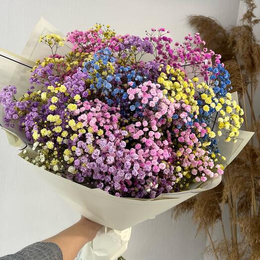 Rainbow Gypsophila
