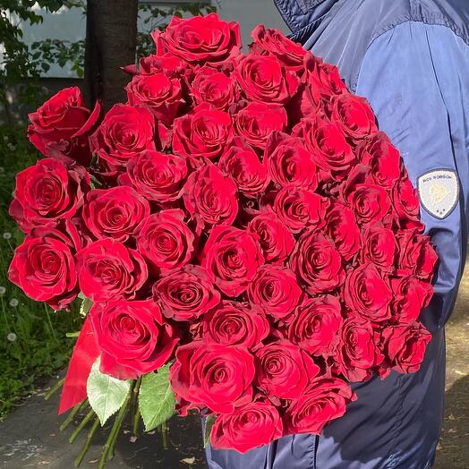 51 Роза Эквадор