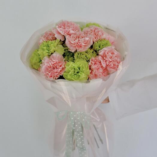 Buket od zelenih I roze karanfila (19 db.)