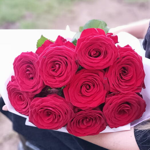 Красные розы 9 штук