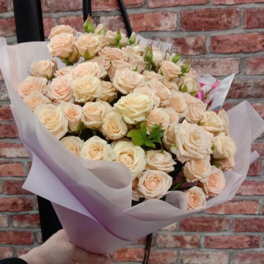 Bush rose cream Grace 35 pieces