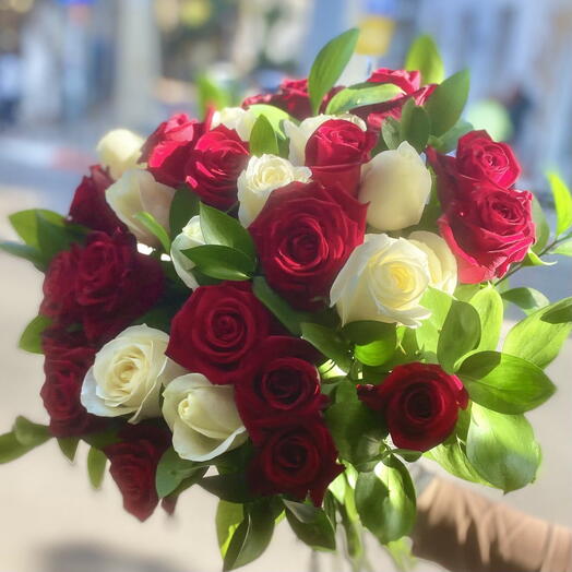 Mixed Roses