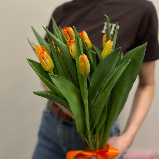 Тюльпан Оранжевый 🧡  15 шт