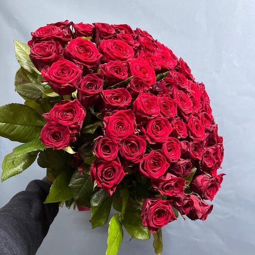 Roses