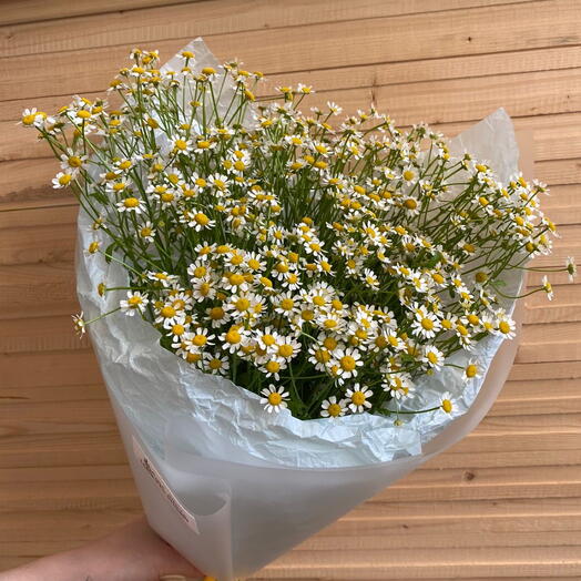 Ромашки