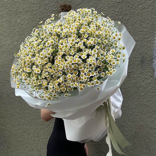 Ромашка 19 шт  лето