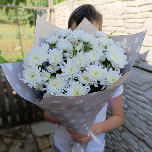 Белые мишки из кустовых хризантем