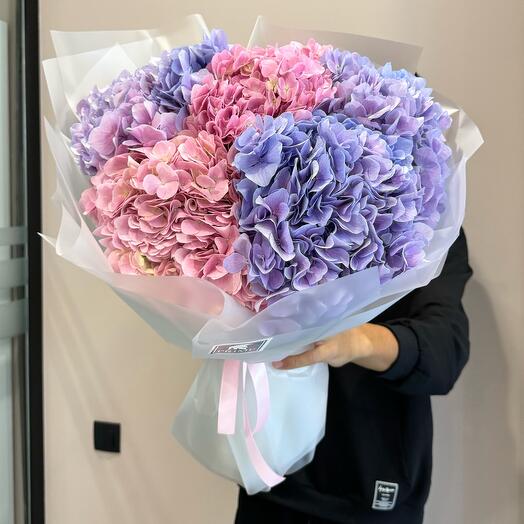 Королевские гортензии 5