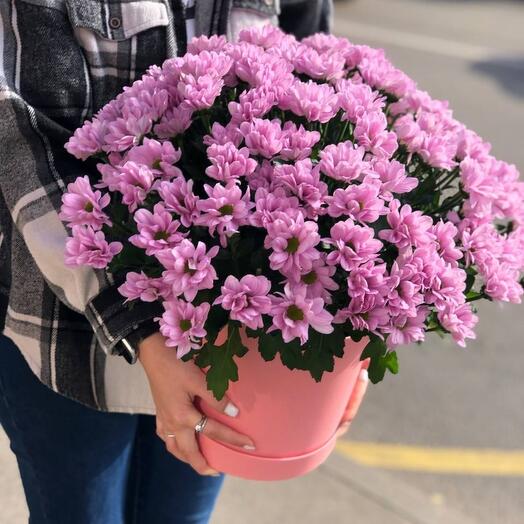 Цветы в коробке