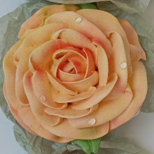 Marshmallow Rose