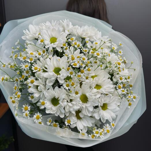 Daisies
