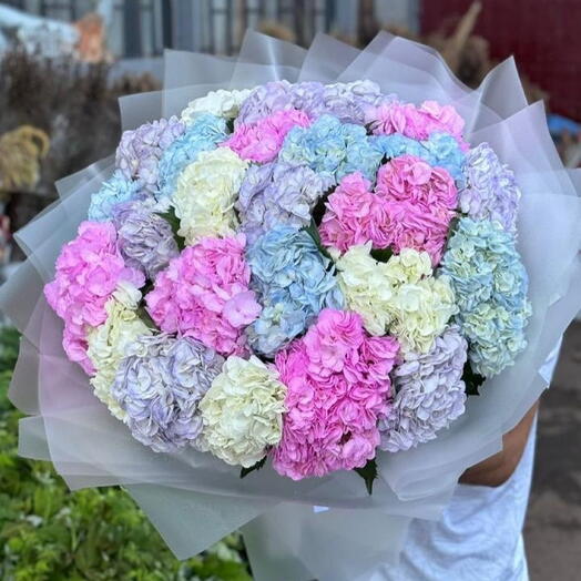 25 колумбийских гортензий🥰