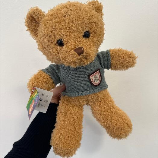 Teddy bear in a sweater