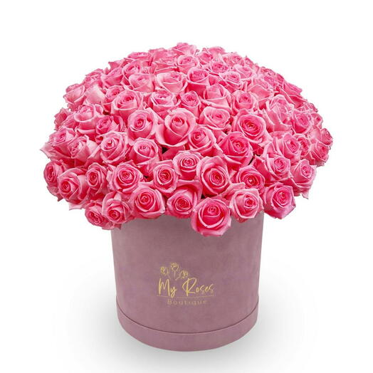 Lilac Velvet Box With 100 Pink Roses