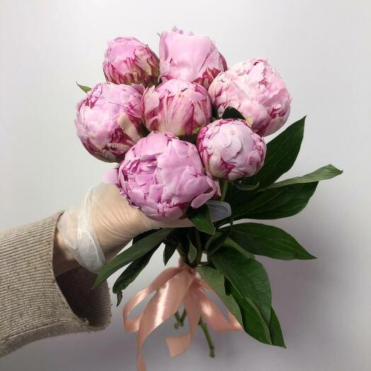 Букет из 7 розовых пионов под ленту