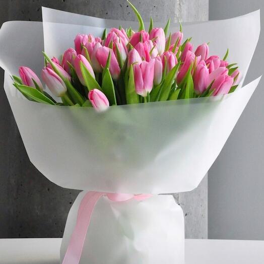 Pink tulips 51