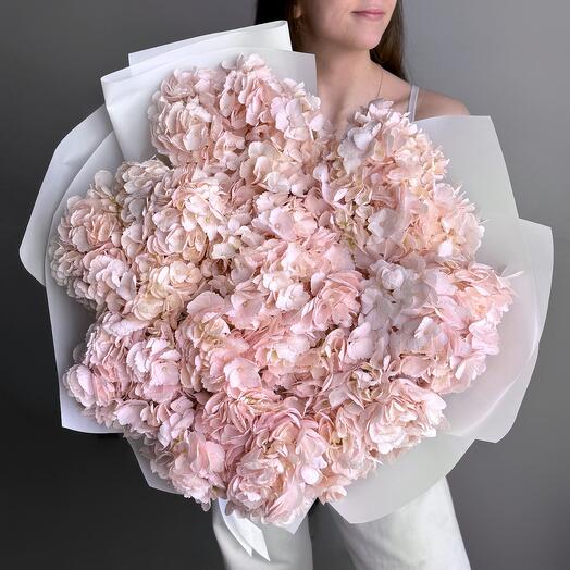 Большой нежный букет розовые гортензии