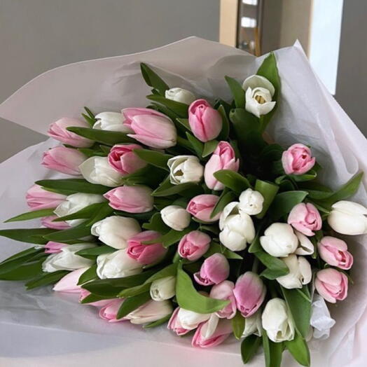 Tulips 50