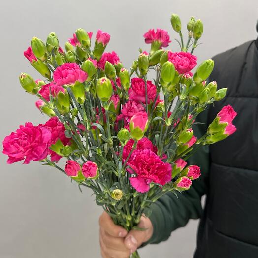 Кустовая гвоздика 21 штук