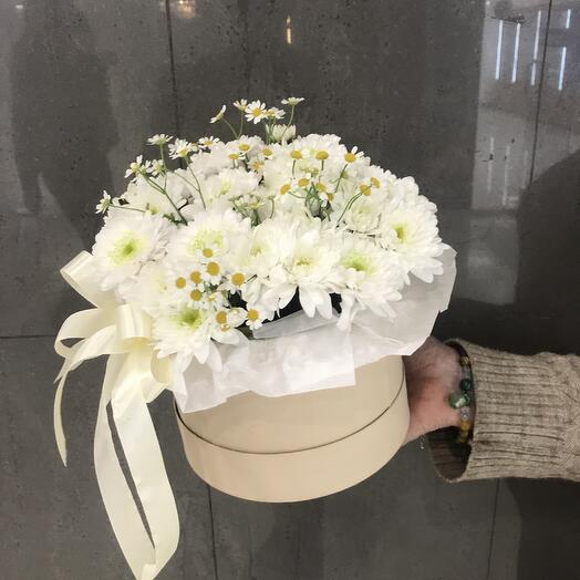 Композиция Хризантема Матрикария