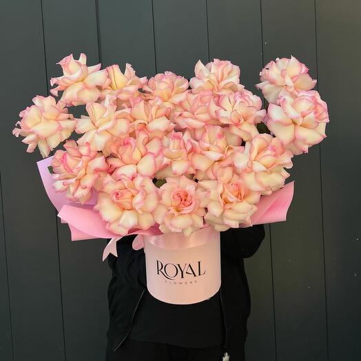 Персиковый рассвет