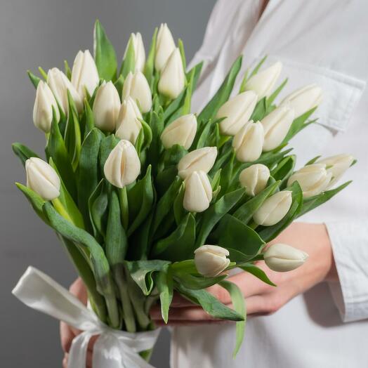 Букет из 25 белых тюльпанов с атласной лентой