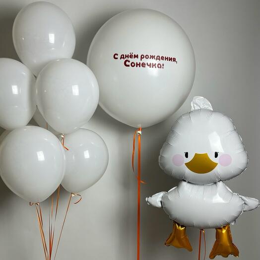 Birthday balls "Goose-hugging"