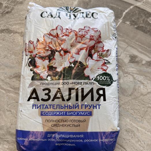 Грунт для азалий