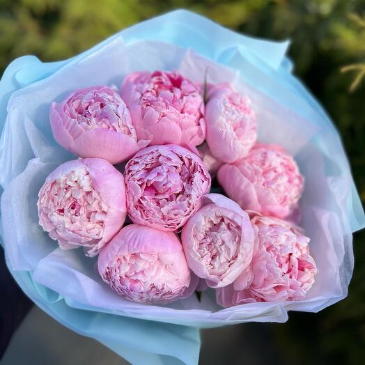 Пышные ароматные розовые пионы 9 шт