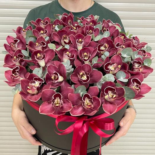 Orquídeas en Caja 💓
