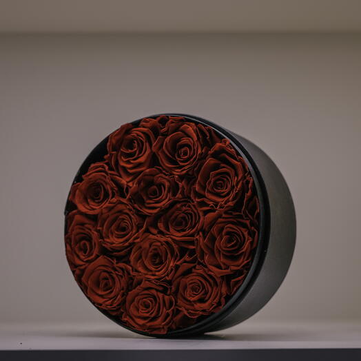 Red roses in a box - 13 stems