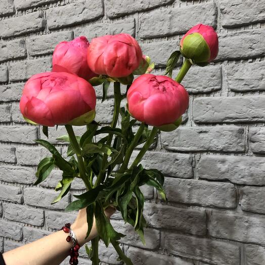 Букет из пионов